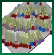Bulk Shipping Solutions - DVG Packaging